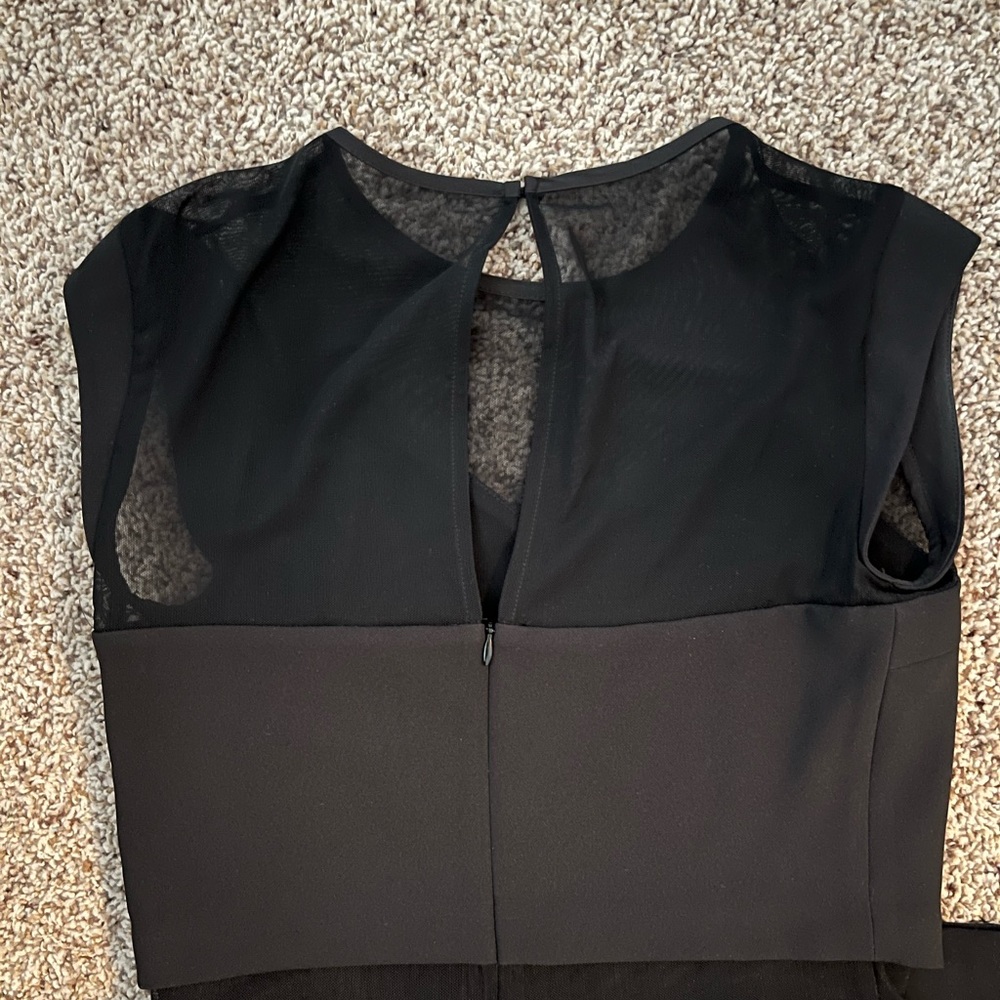 Express Dress - Picture 4 of 4